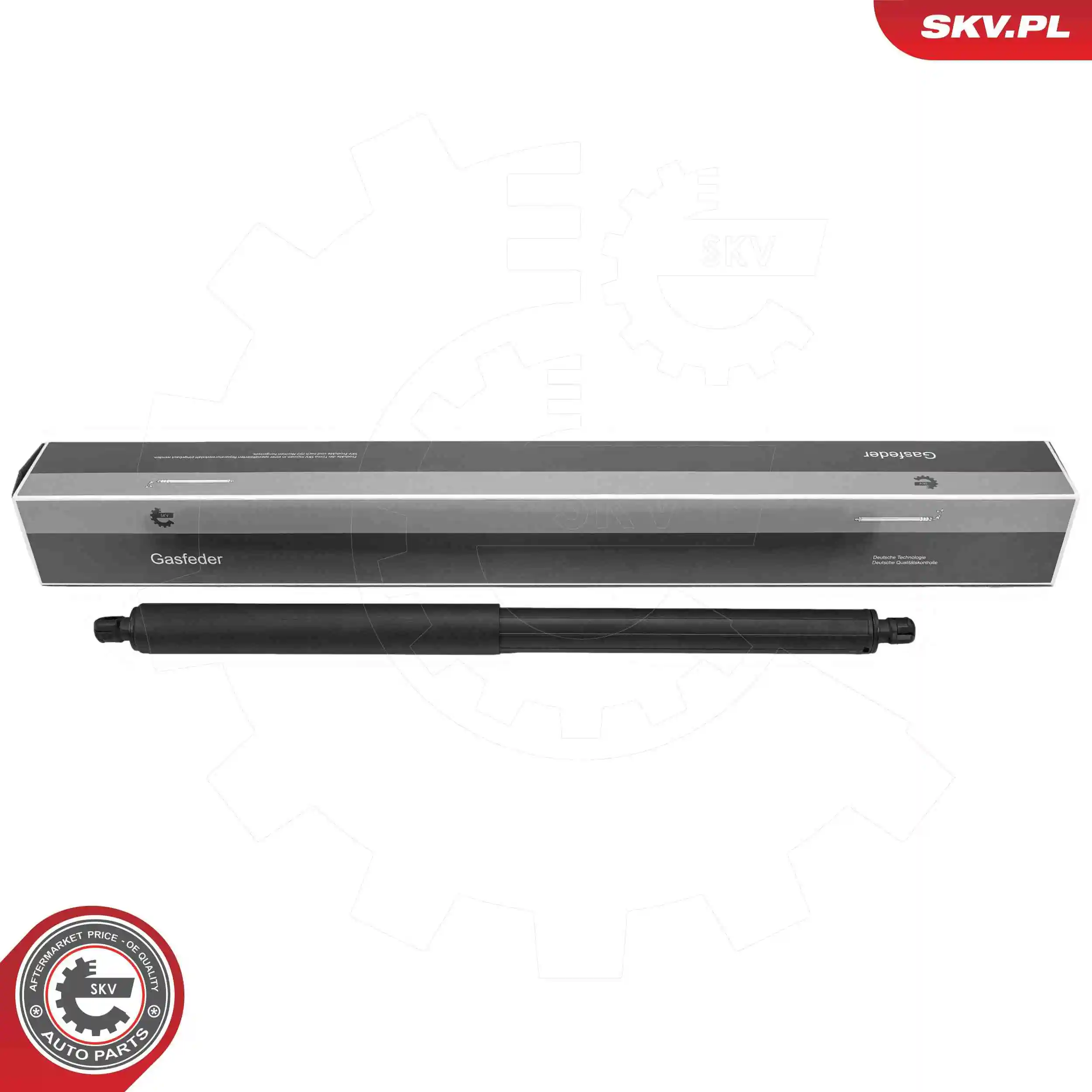Gas Spring, boot/cargo area